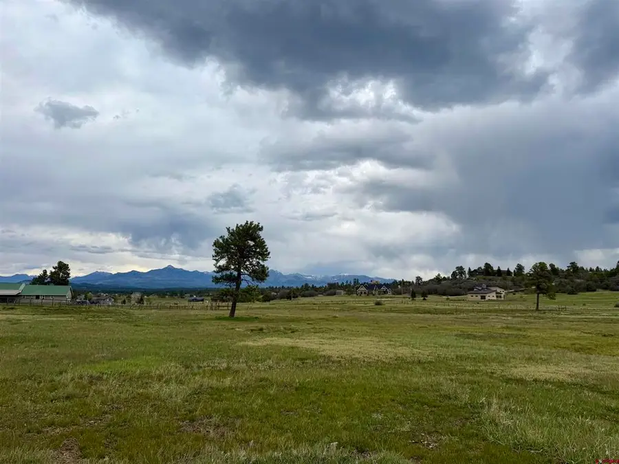 49 Marmot Court, Pagosa Springs, CO 81147 - #2