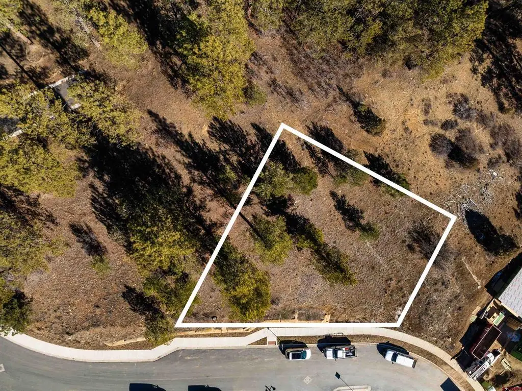 89 Wild Chives Ct., Durango, CO 81301 - #1