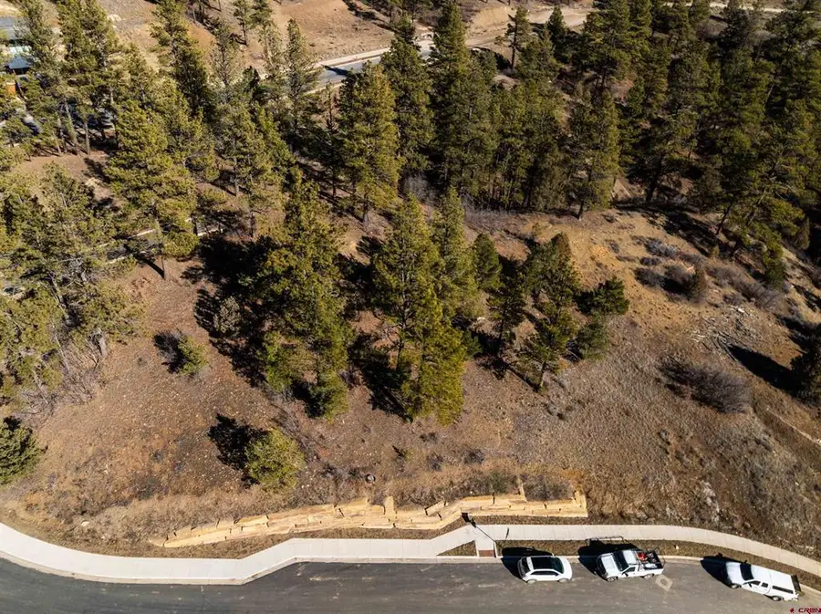 89 Wild Chives Ct., Durango, CO 81301 - #2
