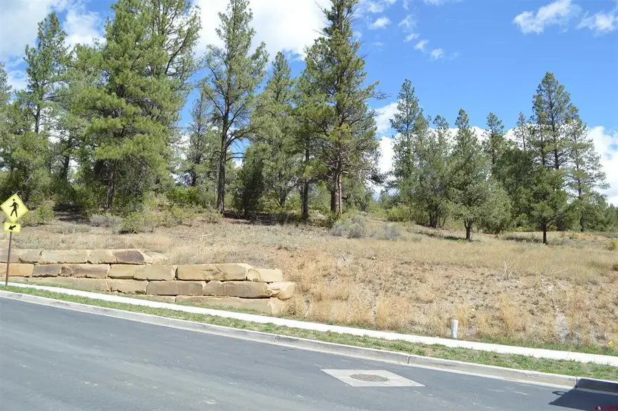 89 Wild Chives Ct., Durango, CO 81301 - #3