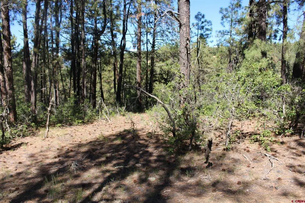 1260 Crooked Road, Pagosa Springs, CO 81147 - #1