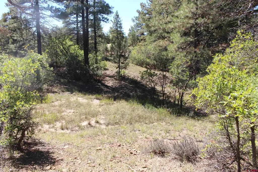1222 Crooked Road, Pagosa Springs, CO 81147 - #1