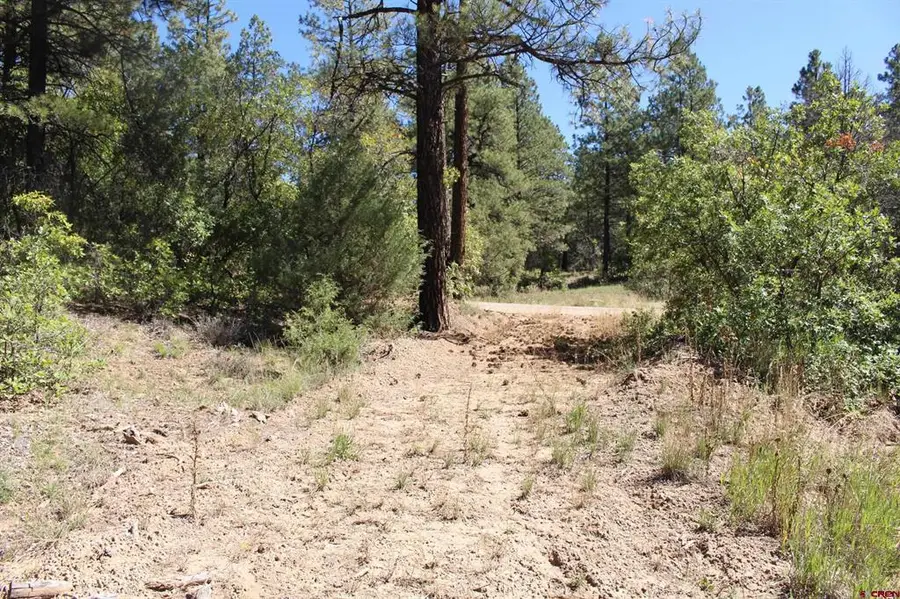 1222 Crooked Road, Pagosa Springs, CO 81147 - #2