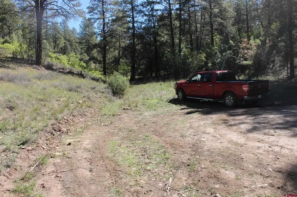 290 Wits End Place, Pagosa Springs, CO 81147 - #1