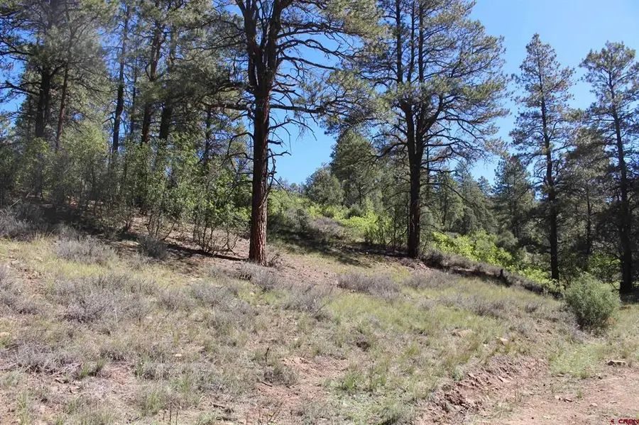 290 Wits End Place, Pagosa Springs, CO 81147 - #3