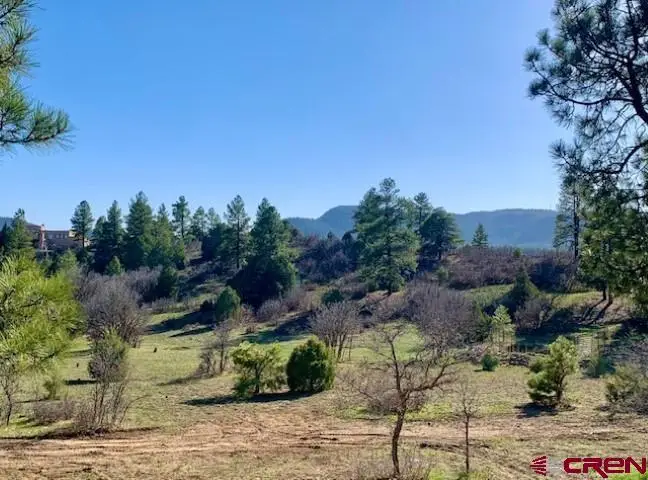 777 Buttress Avenue, Pagosa Springs, CO 81147 - #2