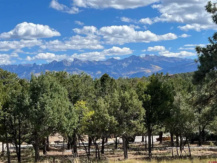 62 (lot 241) Gopher Court, Ridgway, CO 81432 - #2