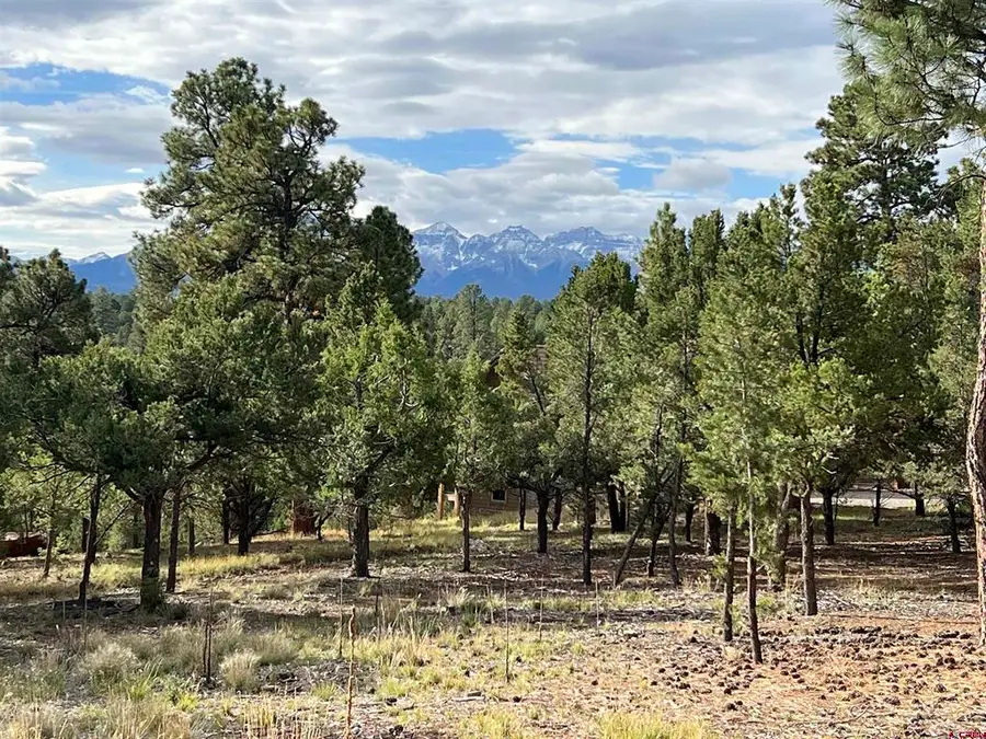 62 (lot 241) Gopher Court, Ridgway, CO 81432 - #3