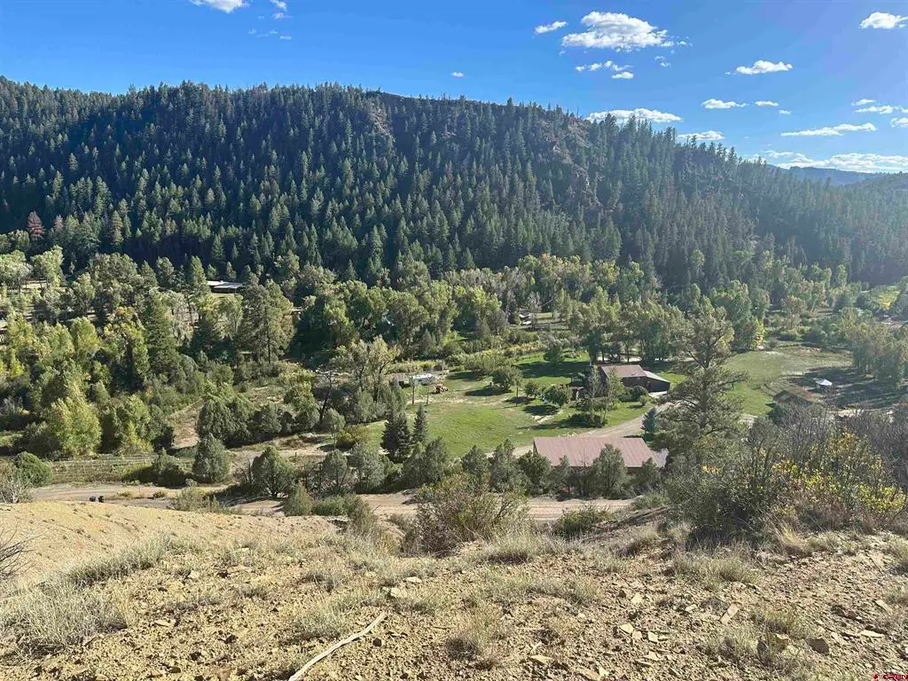 232 Suttles Place, Pagosa Springs, CO 81147 - #1