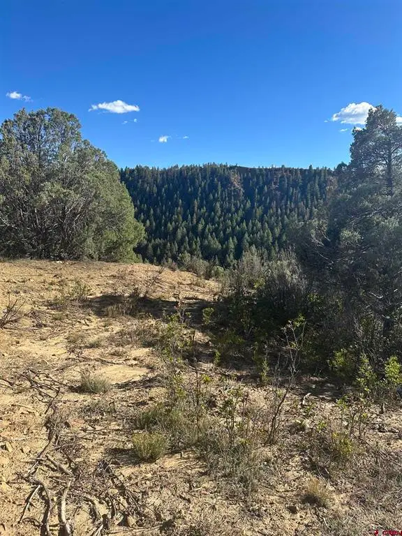 232 Suttles Place, Pagosa Springs, CO 81147 - #3