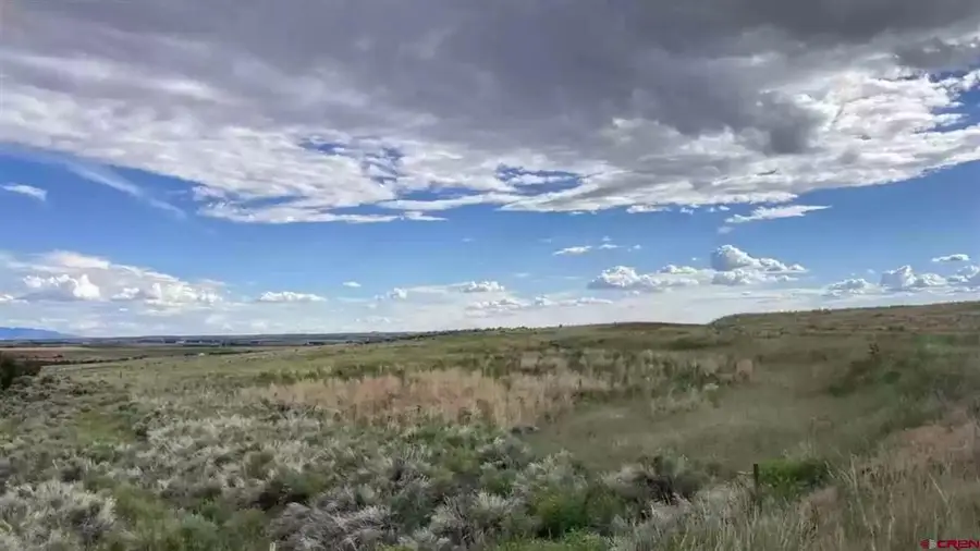 TBD Road 14, Cahone, CO 81320 - #2