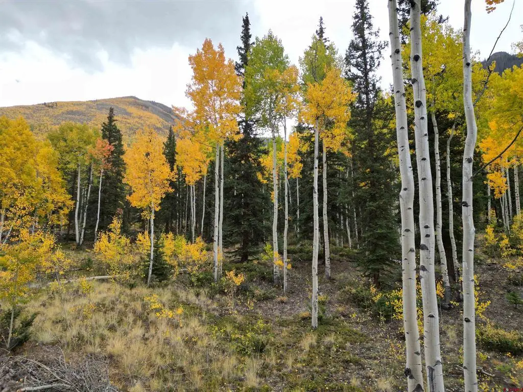 10 Alpine Vista Way, Lake City, CO 81235 - #1