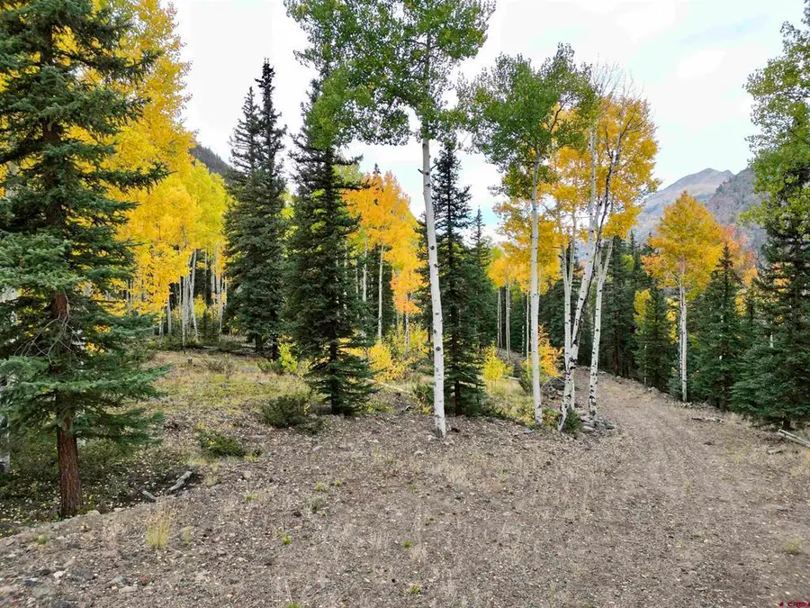 10 Alpine Vista Way, Lake City, CO 81235 - #2