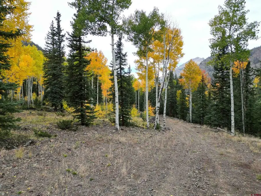 10 Alpine Vista Way, Lake City, CO 81235 - #3