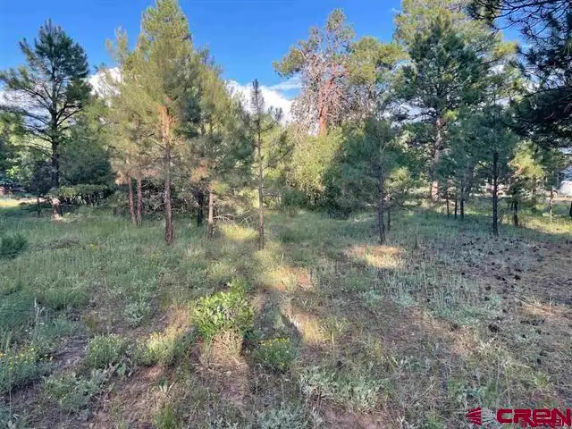 762 Hills Circle, Pagosa Springs, CO 81147 - #2