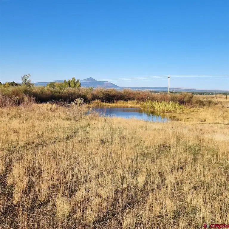 TBD Lot 1 Road S, Dolores, CO 81323 - #1