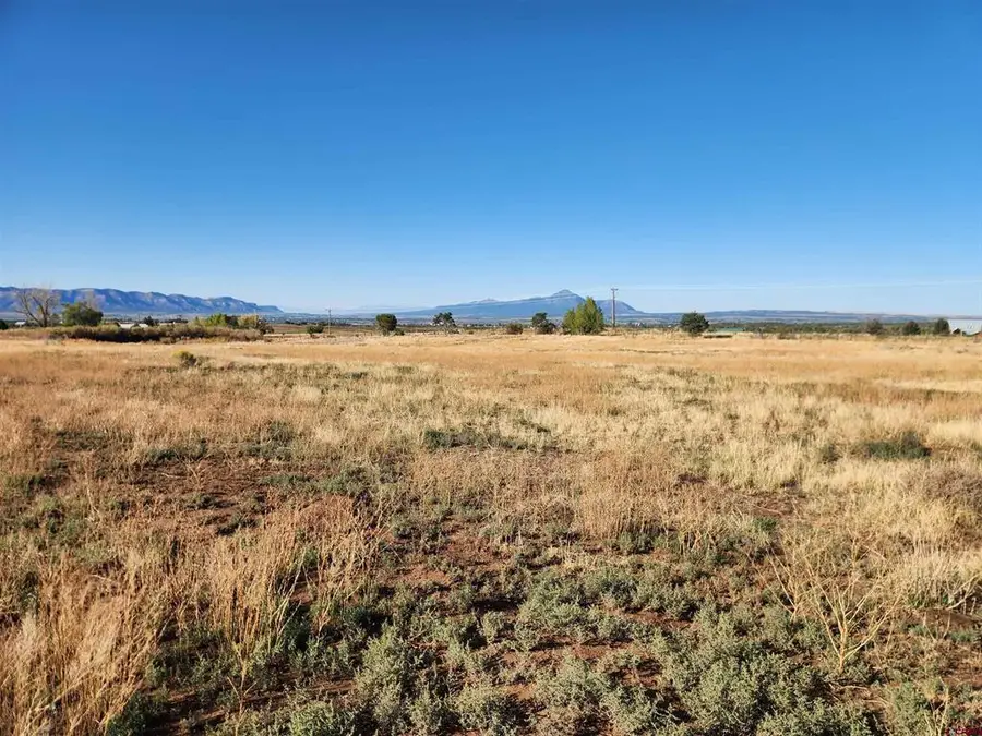 TBD Lot 1 Road S, Dolores, CO 81323 - #3