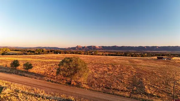 TBD Lot 2 Road S, Dolores, CO 81323