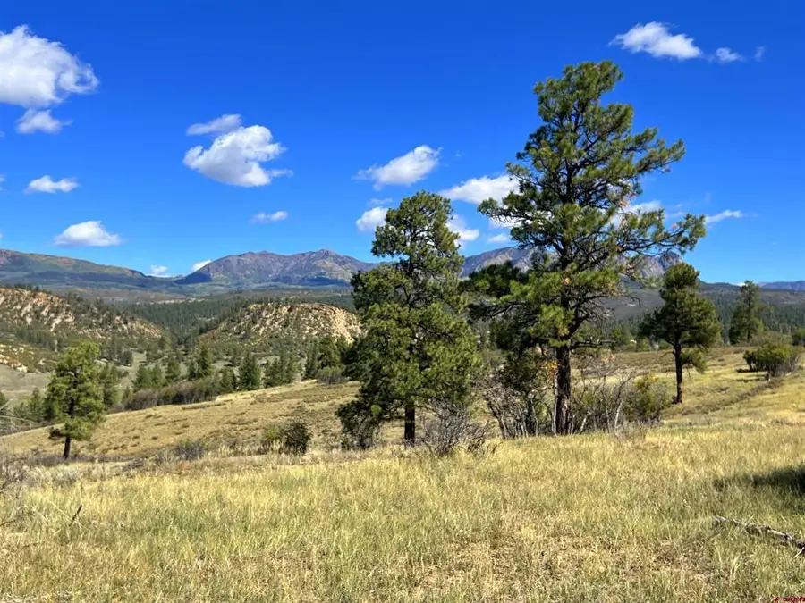 362 Mary's Court, Chromo, CO 81128 - #3