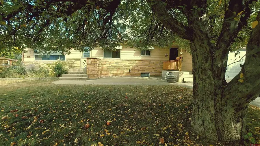 229 Colorado Ave, Paonia, CO 81428 - #2