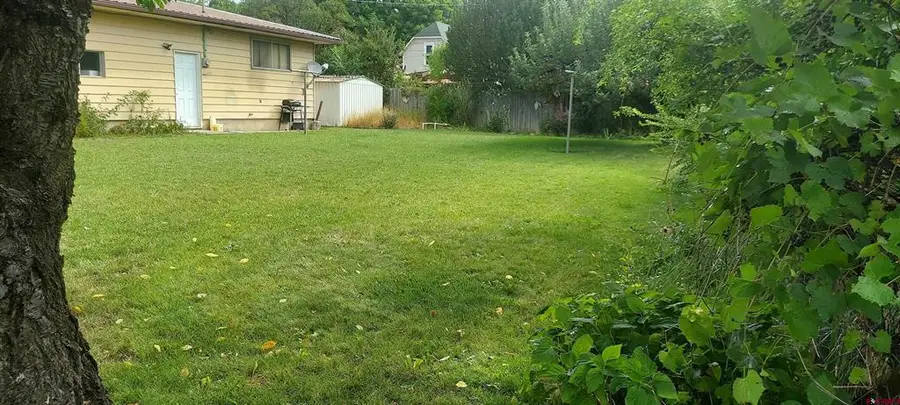 229 Colorado Ave, Paonia, CO 81428 - #3