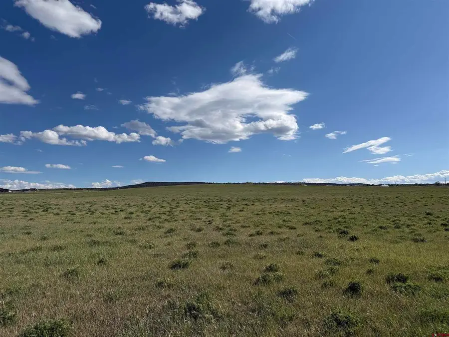38832 Fruitland Mesa Road, Crawford, CO 81415 - #3