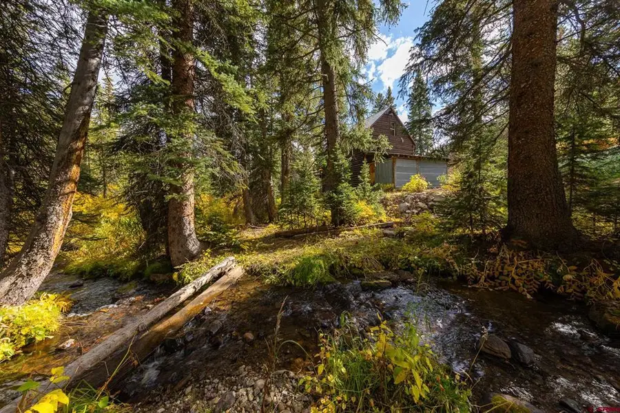 824 County Road 826a, Crested Butte, CO 81224 - #2