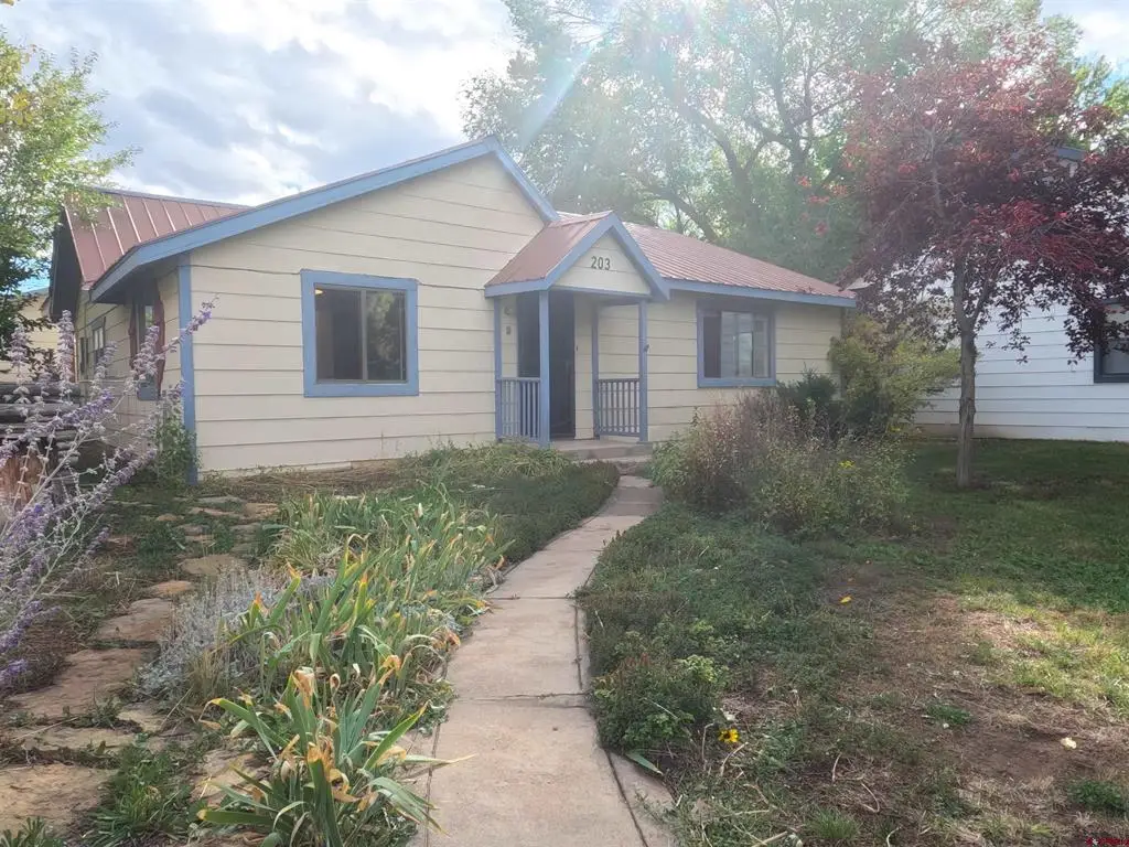 203 S 8th Street, Dolores, CO 81323 - #1