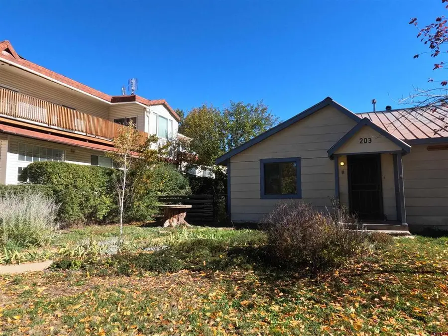 203 S 8th Street, Dolores, CO 81323 - #3