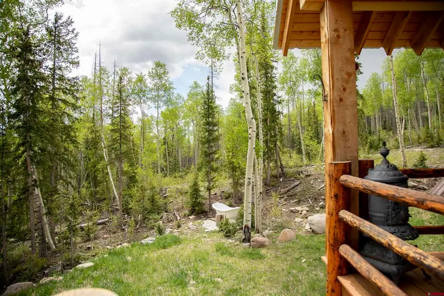 5565 Forest Road 504 Road, Creede, CO 81130 - #3
