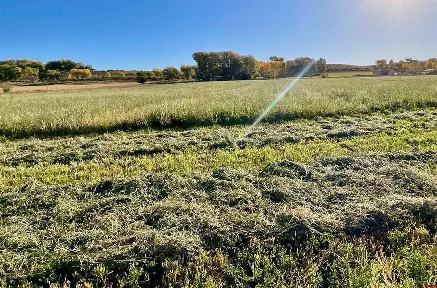 TBD 5800 Road, Montrose, CO 81403 - #3
