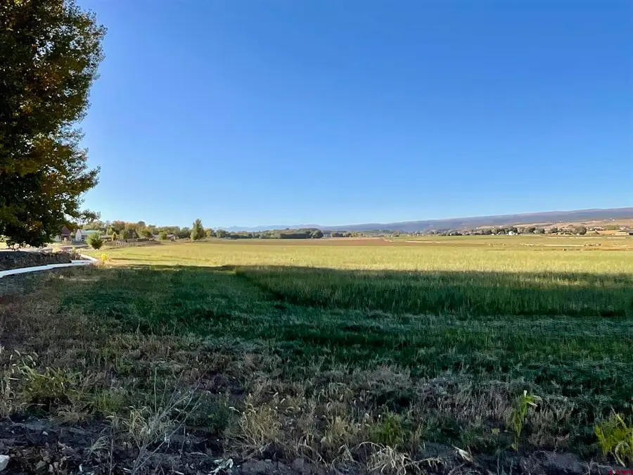 TBD Inverness Court, Montrose, CO 81403 - #2