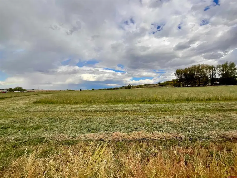 TBD Inverness Court, Montrose, CO 81403 - #3