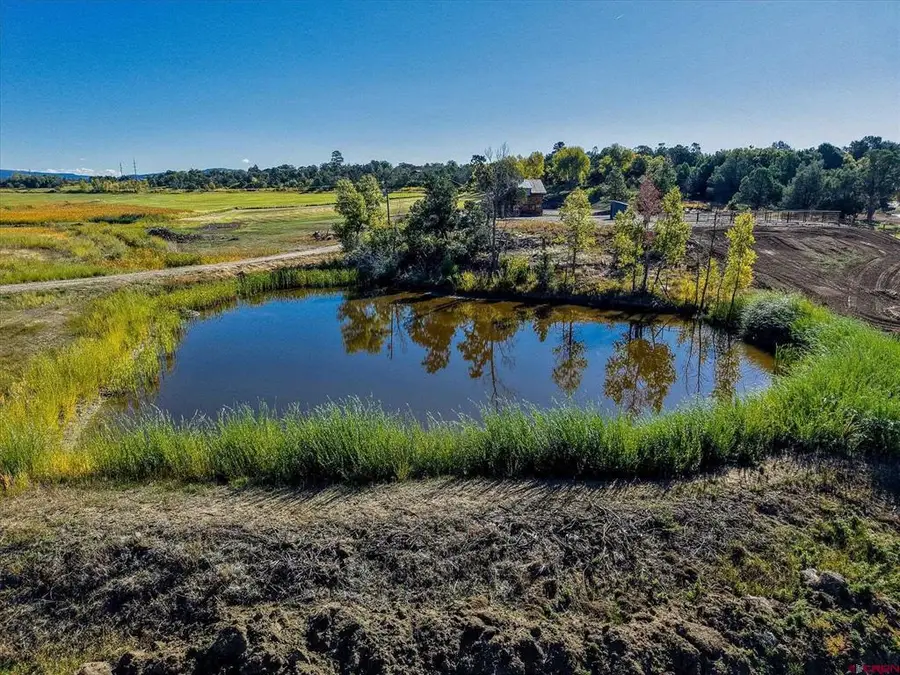 4334 County Road 509, Bayfield, CO 81122 - #2