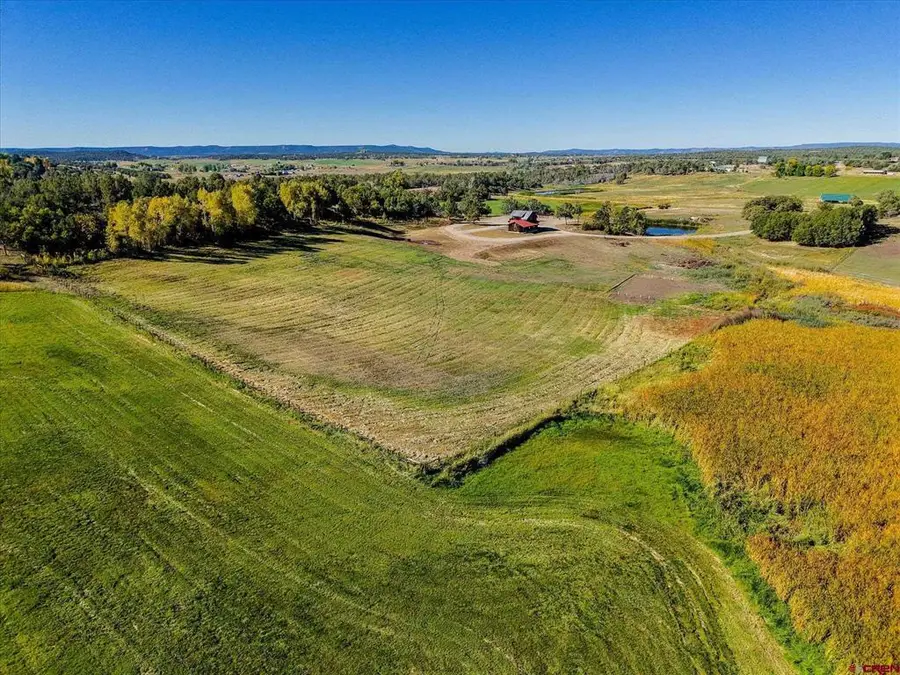 4334 County Road 509, Bayfield, CO 81122 - #3