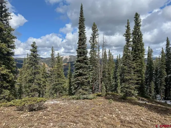 400 Forest Service Road 550 Road, Almont, CO 81210
