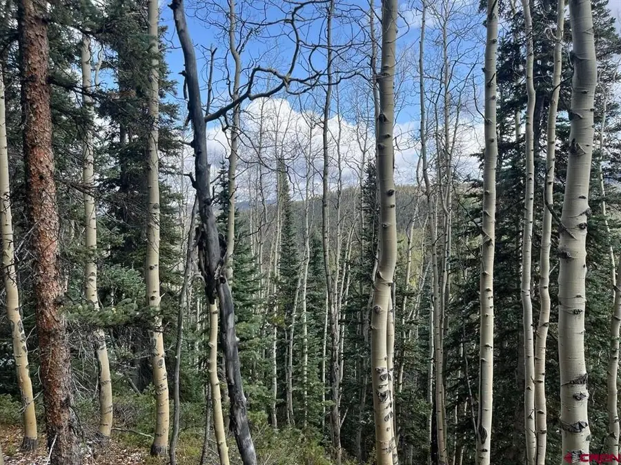 400 Forest Service Road 550 Road, Almont, CO 81210 - #2