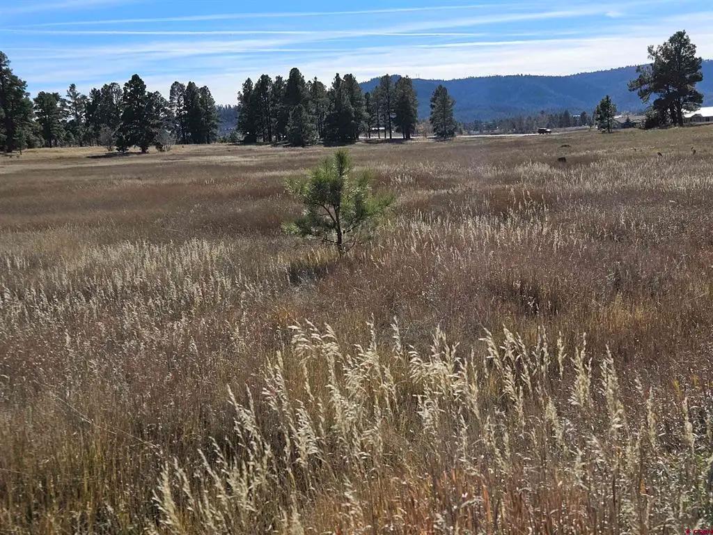 97 Sandlewood Drive, Pagosa Springs, CO 81147 - #1