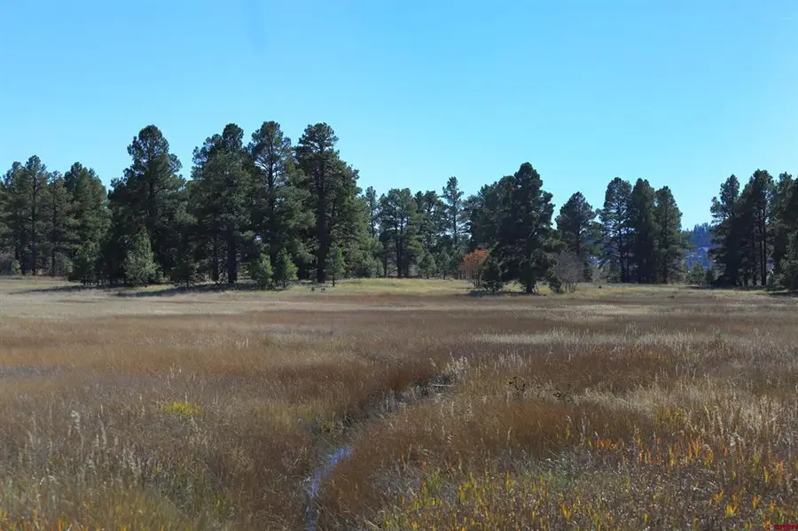97 Sandlewood Drive, Pagosa Springs, CO 81147 - #3