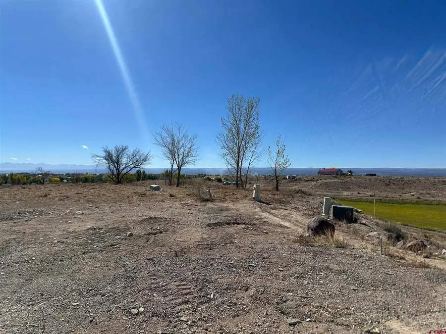 63345 Ida Road, Montrose, CO 81401 - #3