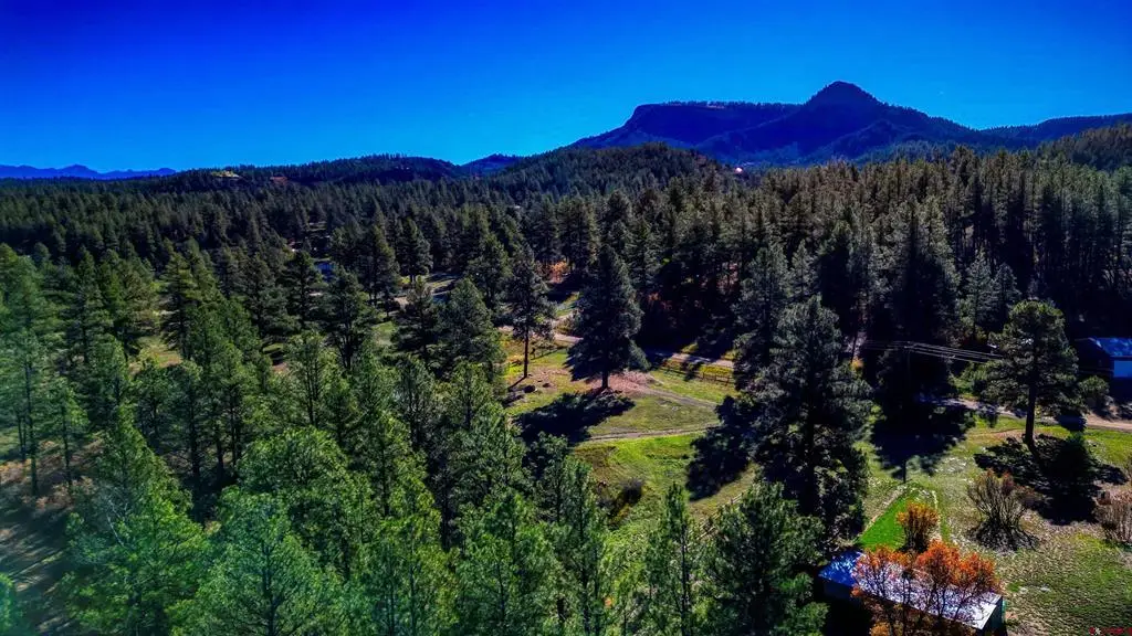 167 Ute Lane, Pagosa Springs, CO 81147 - #1