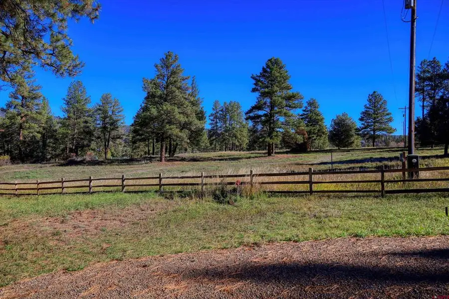 167 Ute Lane, Pagosa Springs, CO 81147 - #3