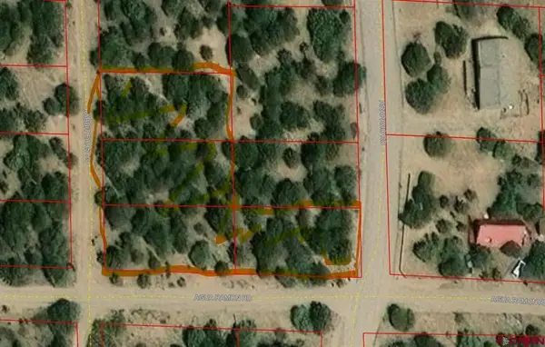 555 Arapaho Road, South Fork, CO 81154