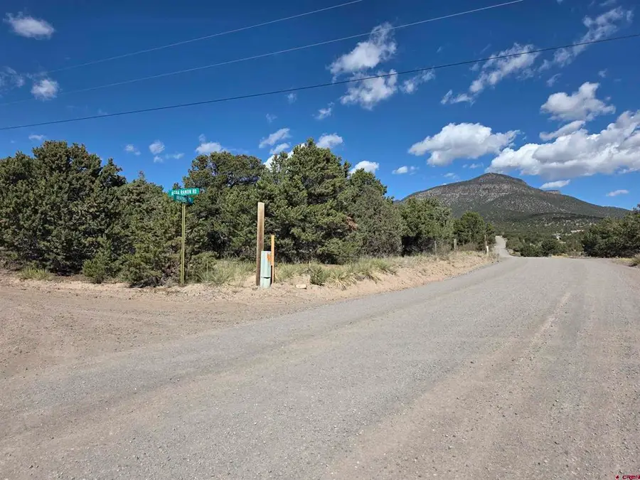555 Arapaho Road, South Fork, CO 81154 - #2