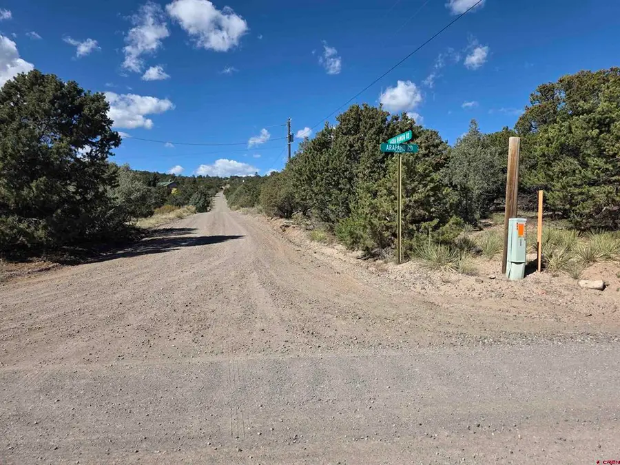 555 Arapaho Road, South Fork, CO 81154 - #3