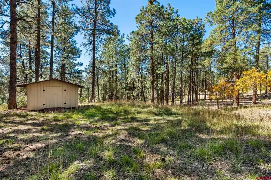 138 Green Ridge Drive, Bayfield, CO 81122 - #2
