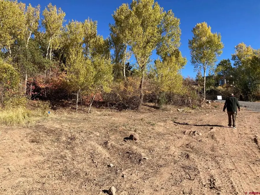 1590 Se 3rd Street, Cedaredge, CO 81413 - #2