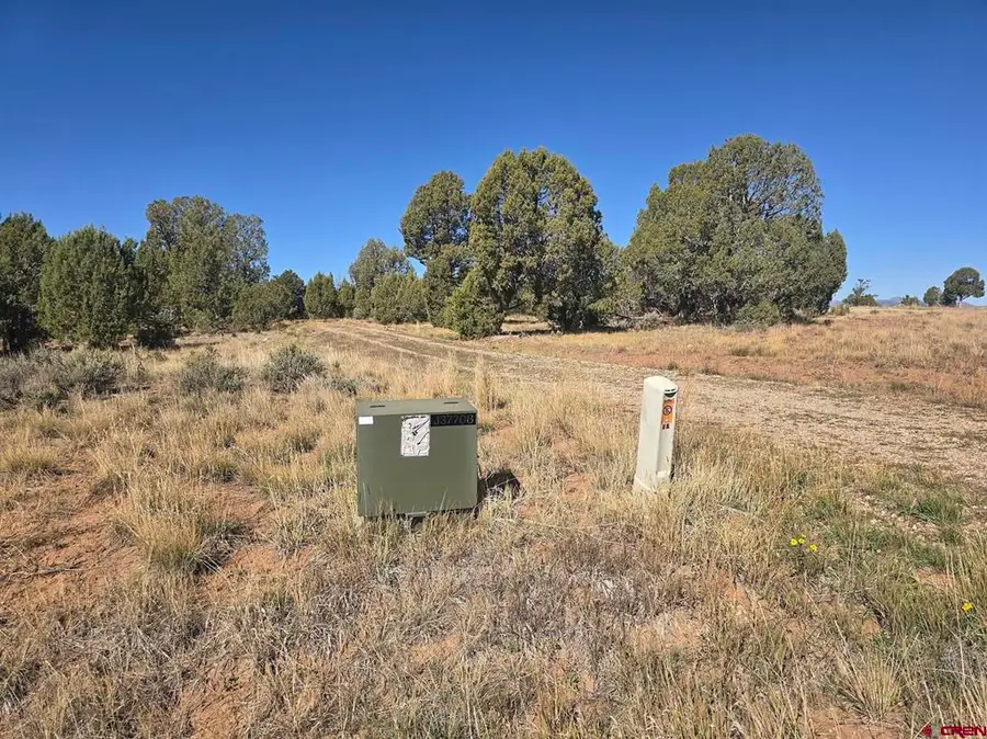 134 Rawhide Road, Durango, CO 81303 - #2