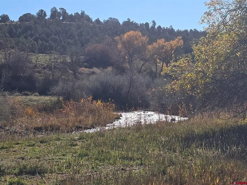 1308 Wrangler Way, Durango, CO 81303 - #1