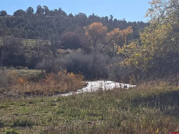 1308 Wrangler Way, Durango, CO 81303